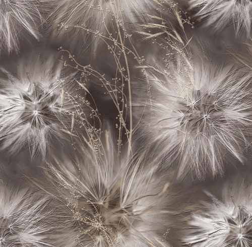 Обои 286819 Amazing Victoria Stenova