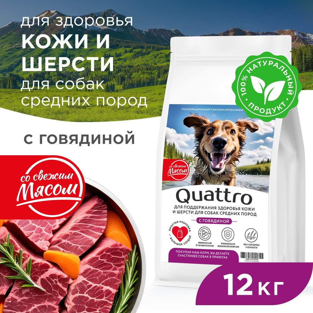 Корм сухой для взрослых собак средних пород, премиум полнорационный комплекс, здоровье кожи и шерсти, с говядиной, 12 кг, QUATTRO