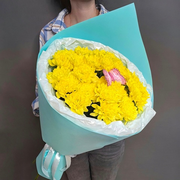 Букет из 5 хризантем сорта "Балтика желтая"