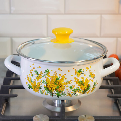 Набор кастрюль "Мимоза-1-Экстра" белый