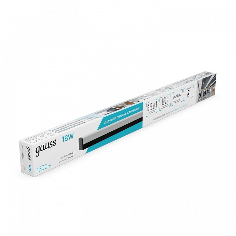 Накладной светильник Gauss  883625280