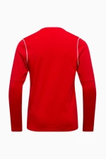 Футболка с длинными рукавами Nike Park 20 Junior - красный