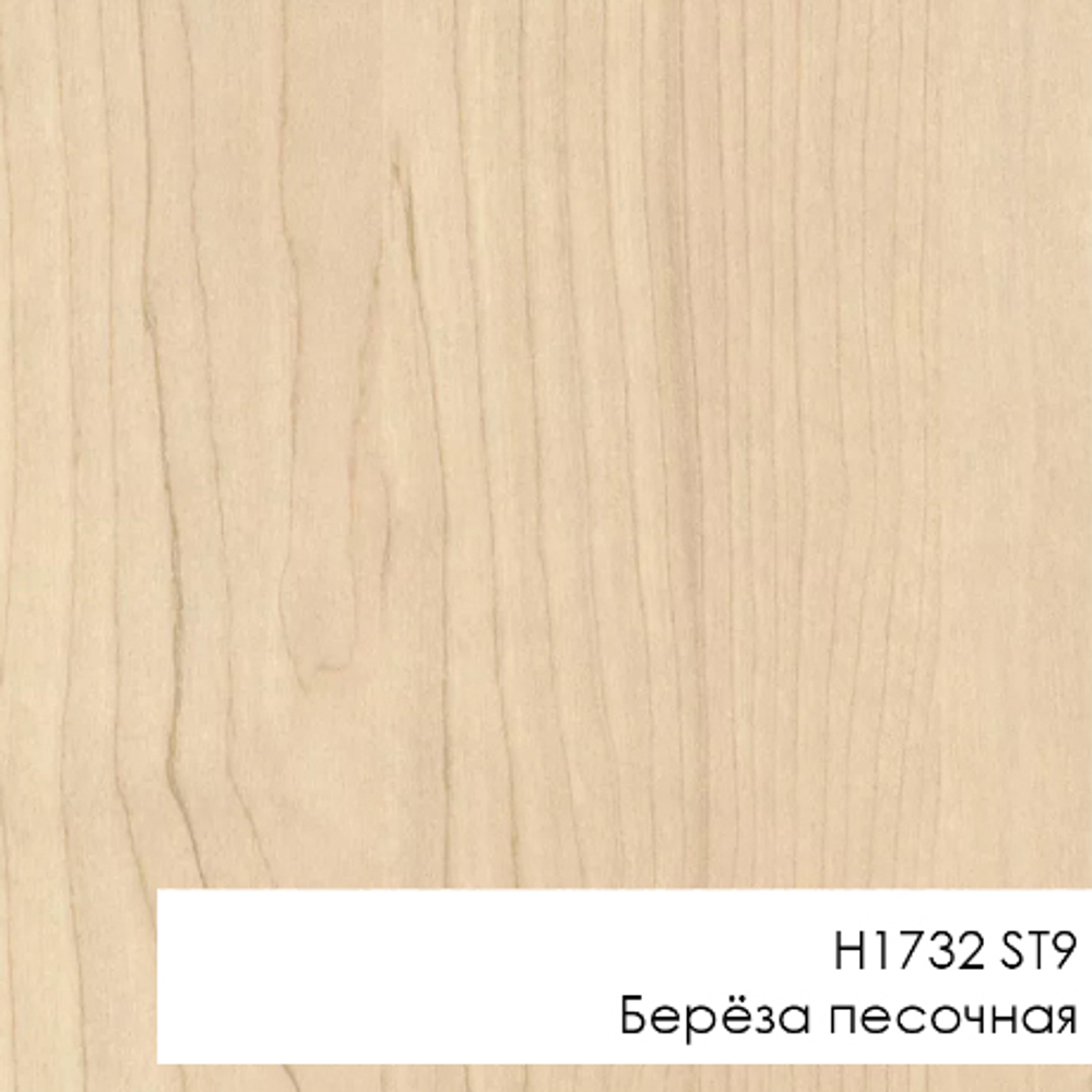 M+2СТ - H1732 ST9 Берёза песочная