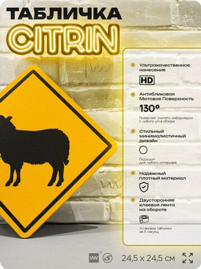 Табличка прикольная "Осторожно, овца" на дверь и стену, информационная и предупреждающая, декоративный знак, 24,5х24,5 см, пластиковая, Айдентика Технолоджи