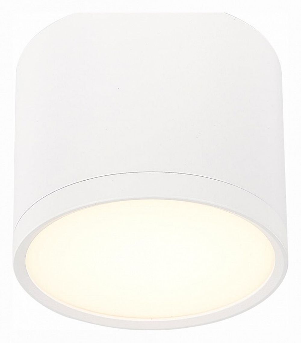 Накладной светильник ST-Luce Rene ST113.532.09