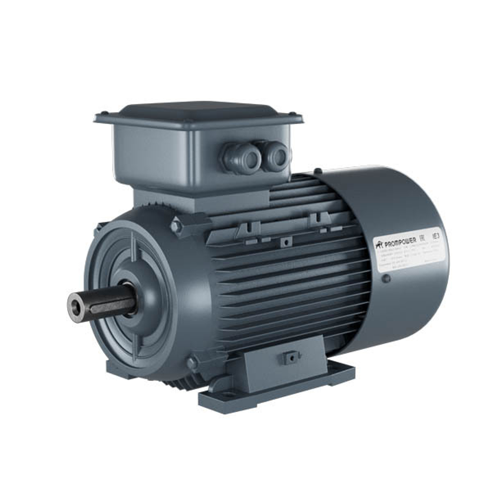 Асинхронный двигатель Prompower 1LE9, 110 кВт, 750 об/мин, 380/660 В, 1LE90033AD633AB4