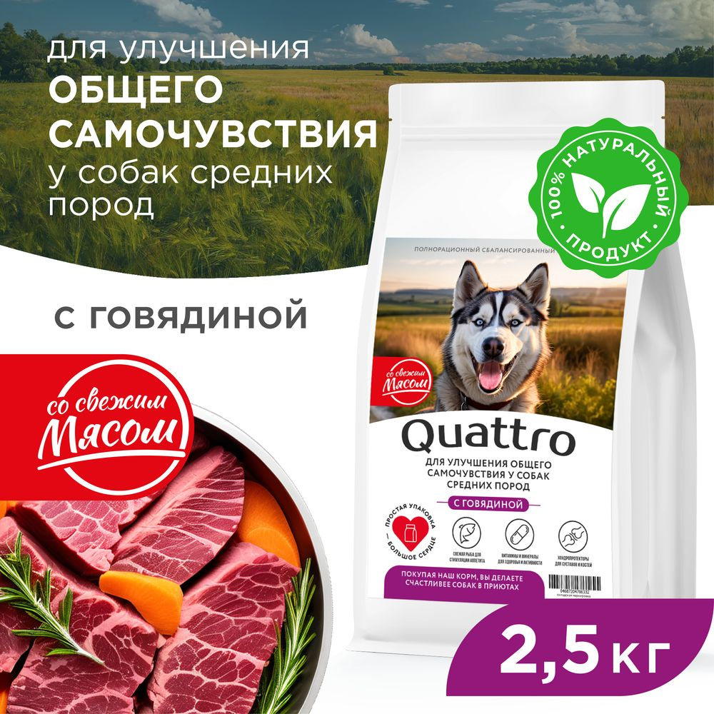Корм сухой для взрослых собак средних пород, премиум полнорационный комплекс, улучшение общего самочувствия, с говядиной, 2,5 кг, QUATTRO