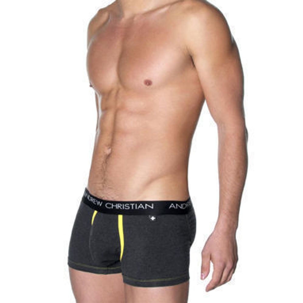 Мужские трусы боксеры серые Andrew Christian Flashlift  Boxer Pro Charcoal AC41