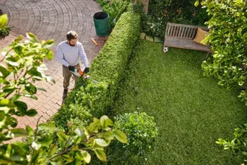 Аккумуляторные мотоножницы HSA 40 SET AS 2 (2 шт.), AL 1