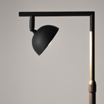 Напольный светильник (торшер) Maytoni MOD372FL-L10B3K