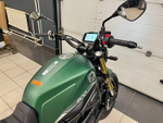 Benelli Leoncino 800 (Green)
