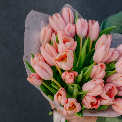 136. Крупные сортовые тюльпаны розовые персиковые