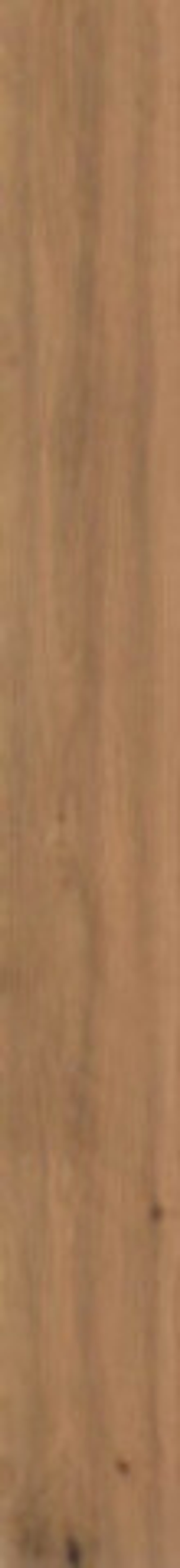 Керамогранит Log Deep Oak (AX5Z)