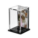 Магистр Виндоу (Войны клонов 2003)