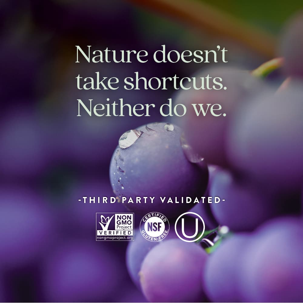 New Chapter, Blood Pressure Balance, смесь виноградных косточек, 60 веганских капсул