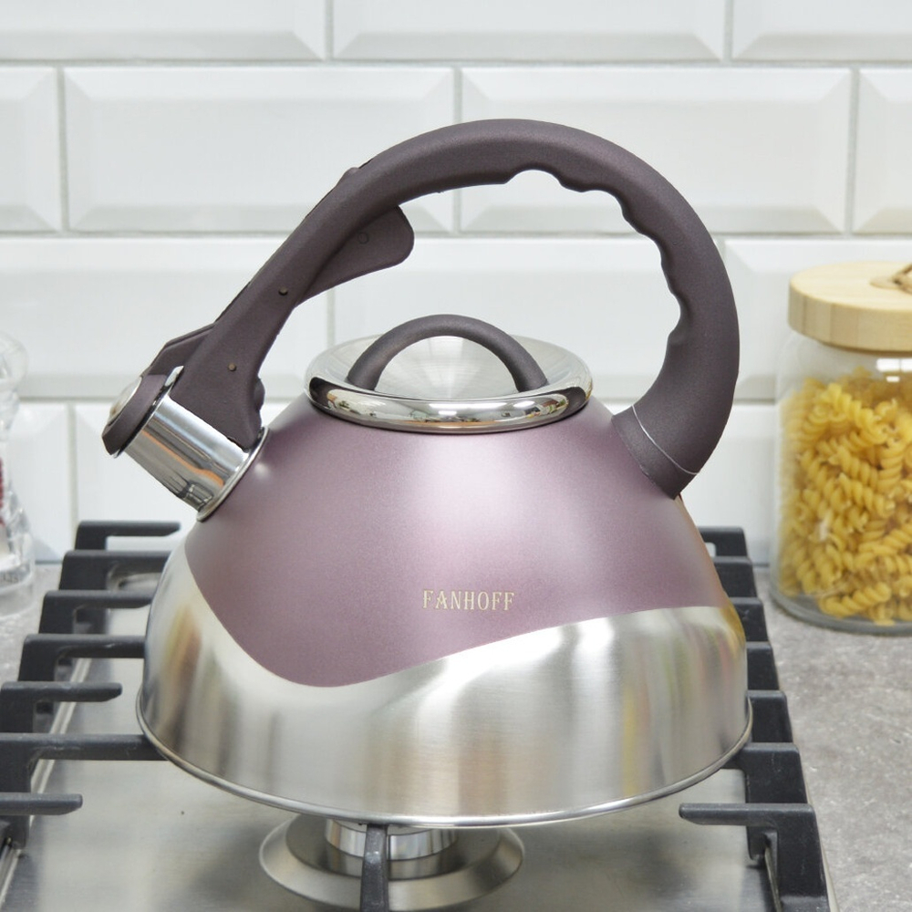 Чайник 3л нерж "Fanhoff" (87340)