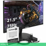 Монитор ExeGate SmartView EP2207 EX295588RUS