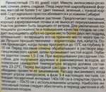 Арбуз Сибирская роза 10 шт СМАРБ-09