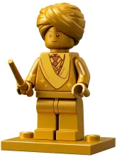 Конструктор 76395 Harry Potter Хогвартс: первый урок полётов