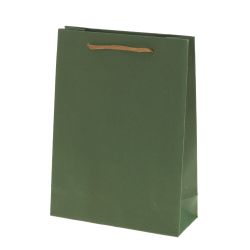 GAEM Пакет подарочный XS (бумага 210г/м2, блок 12шт), L15 W6 H20 см, 4в.