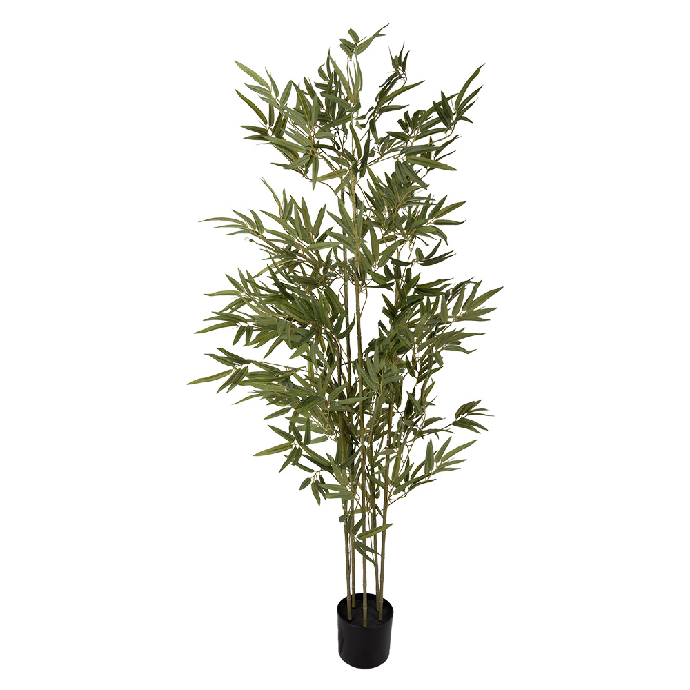 Бамбук в кашпо 35x35x160 см