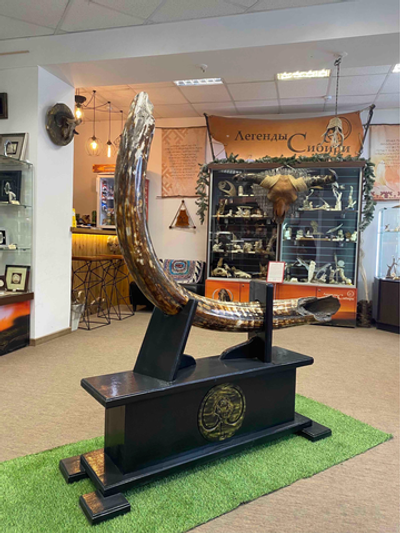 Бивень Трогонтериевого мамонта