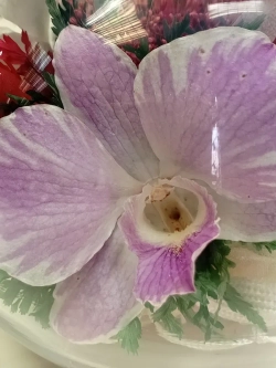 натуральные цветы в стекле, вакуум