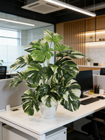 Искусственная Монстера Тайское созвездие 65см в кашпо