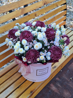 «Бигуди» в коробке