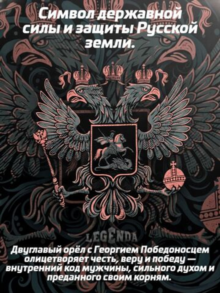 Шорты двойные тренировочные LEGENDA Герб черные