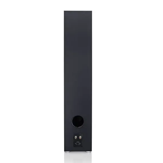 Canton Smart Cinema GLE I Black