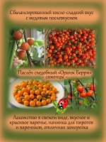 Паслён Оранж Берри съедобный