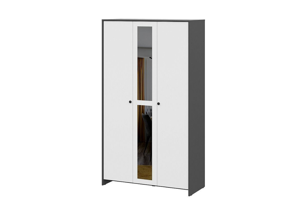 Шкаф для одежды распашной с зеркалом и полками Графит/Белый 120х50х209 см
