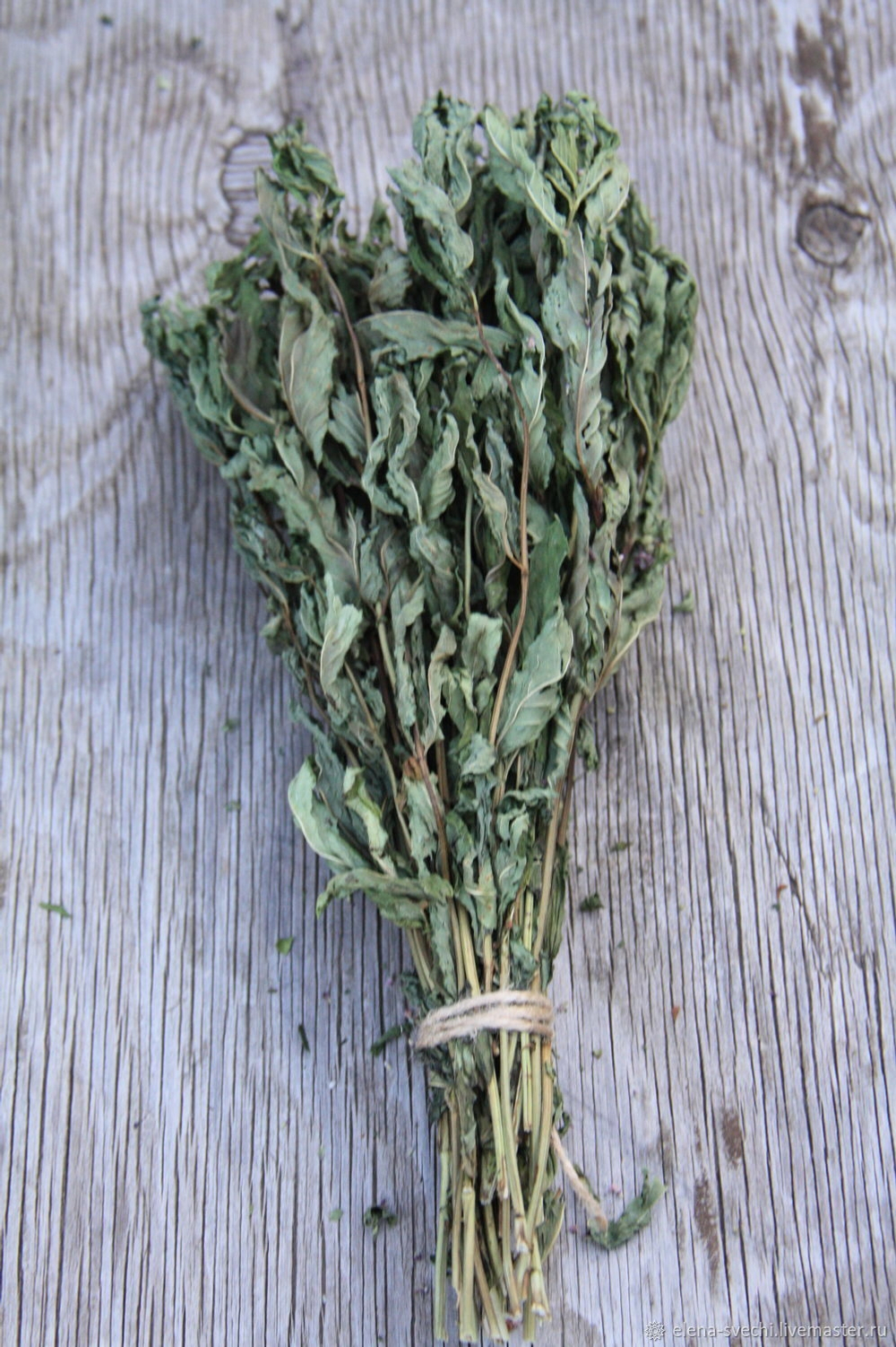 Мята сушеная в пучке