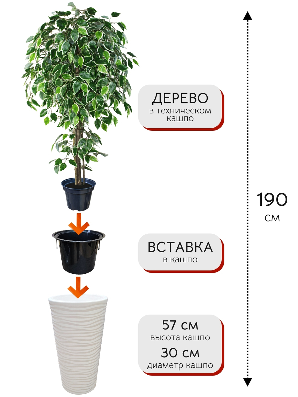 Искусственное дерево Фикус Пестрый 190 см в высоком круглом белом кашпо