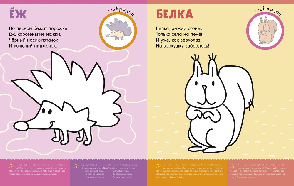 Первая раскраска с наклейками. Кто живёт в лесу?