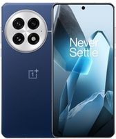 Oneplus 13