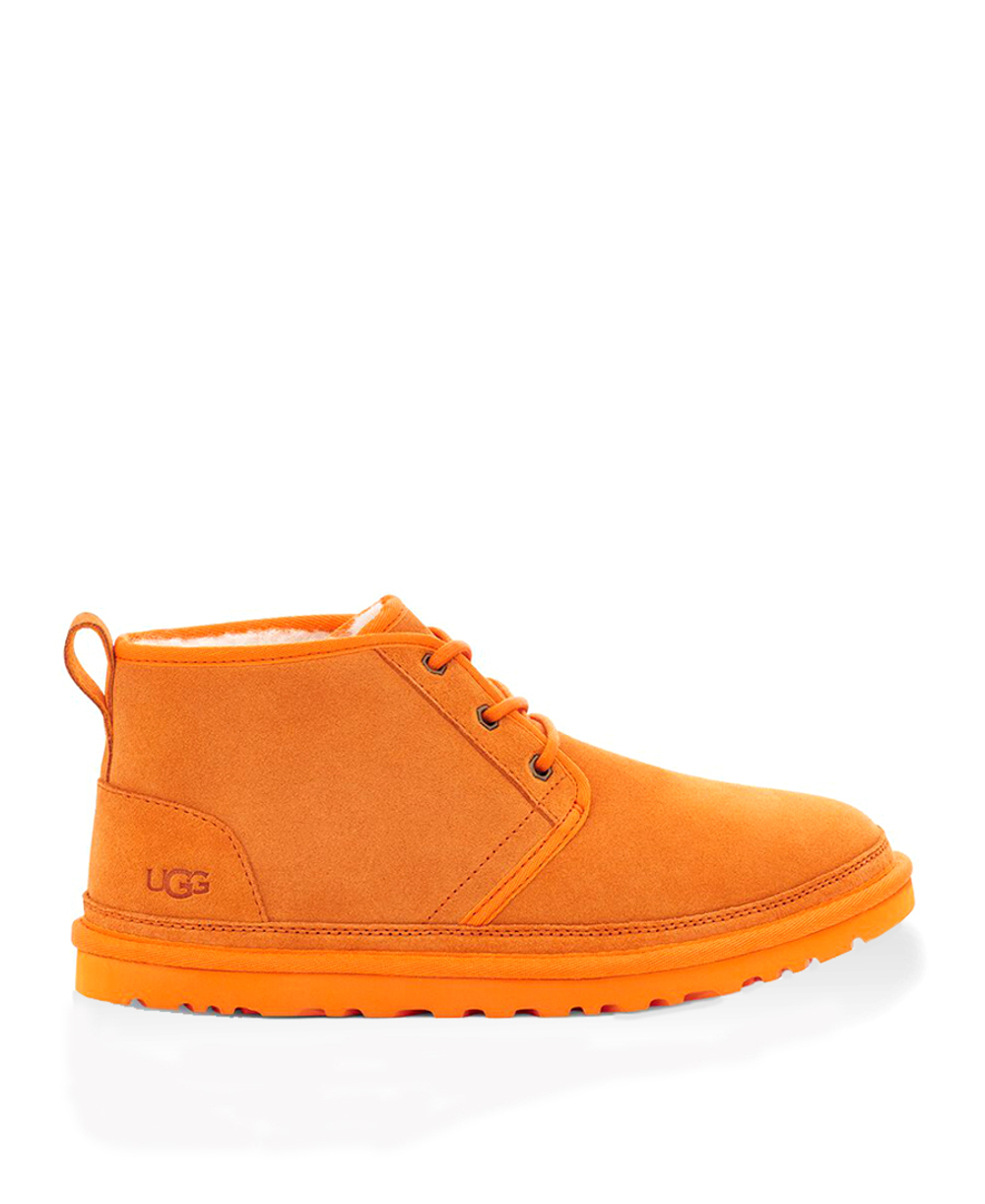 NEUMEL-california poppy