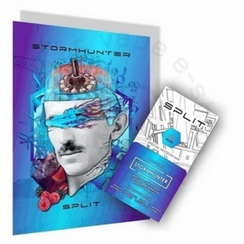 Кальянная смесь на основе чайного листа «SPLIT», вкус "Stormhunter", 50г (М)