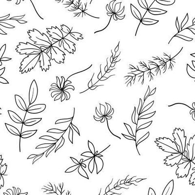 Растительный линейный узор, орнамент.  Клевер, колоски, листья, травы