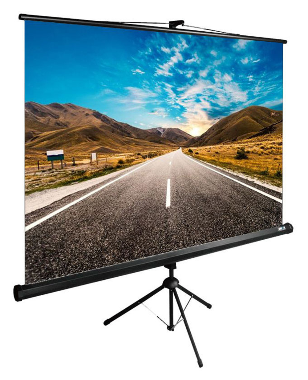 Экран  Cactus CS-PSTE-160X160-BK