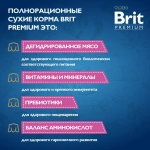 Корм для собак сухой мелких пород 1-10 кг BRIT PREMIUM Dog Adult Small, 3 кг для взрослых животных / с курицей