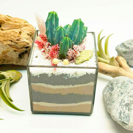 Флорариум с суккулентами “Кубик мини с кактусом” 8см