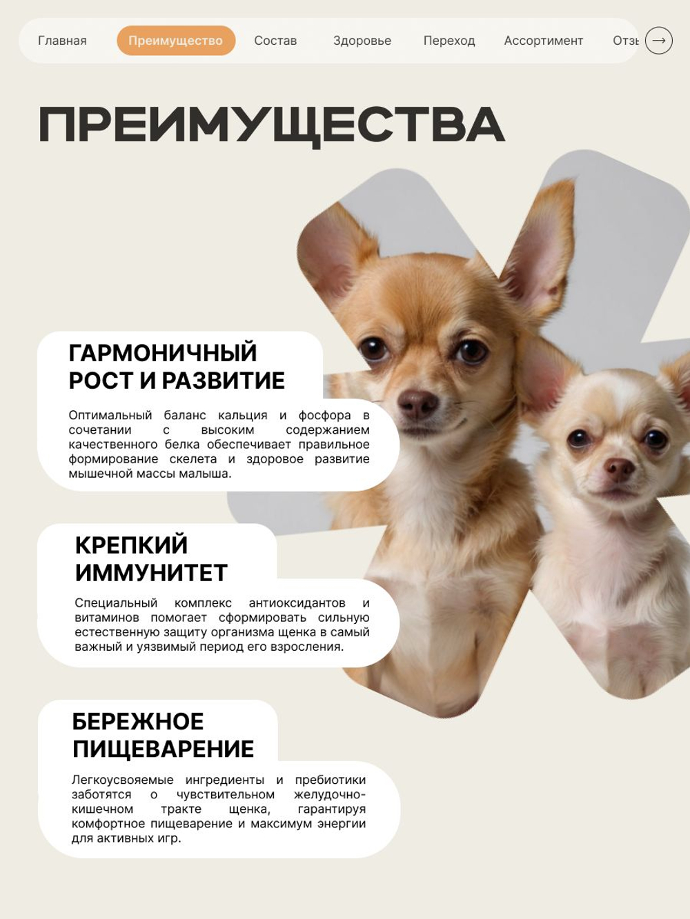 Корм сухой для щенков породы Лабрадор ретривер, с индейкой, 12 кг, QUATTRO