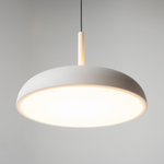 Подвесной светильник Maytoni MOD189PL-L30W3K