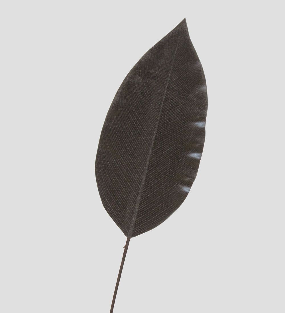 TR 559S Лист имбиря