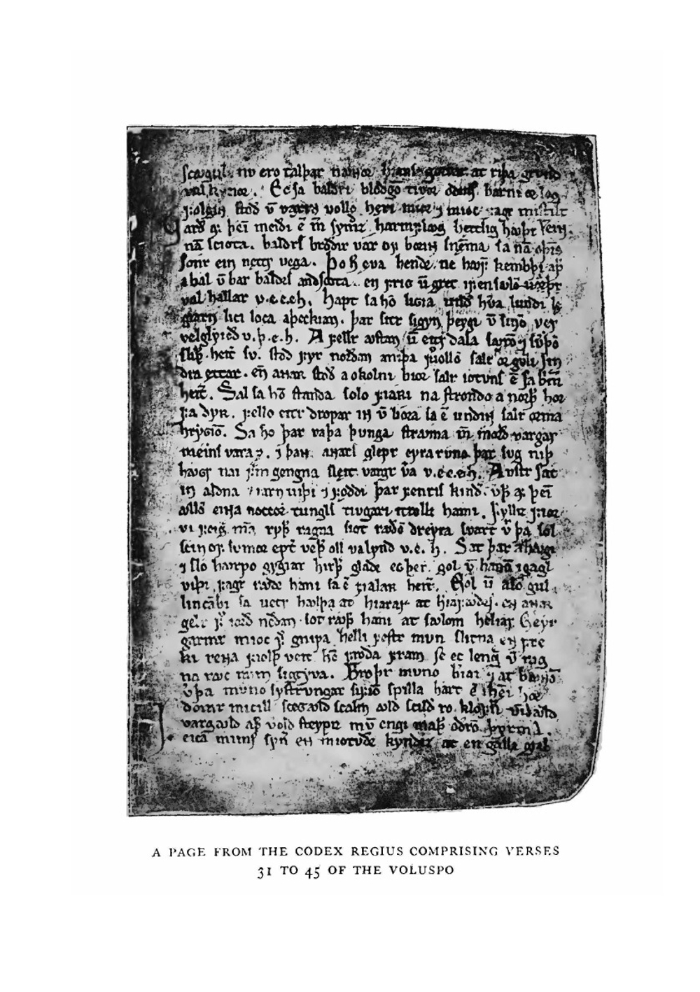 The Poetic Edda | Henry Adams Bellows