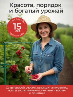 Шпалера садовая для малины и винограда