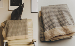 Zara Home плед из хлопка, экрю, в клетку