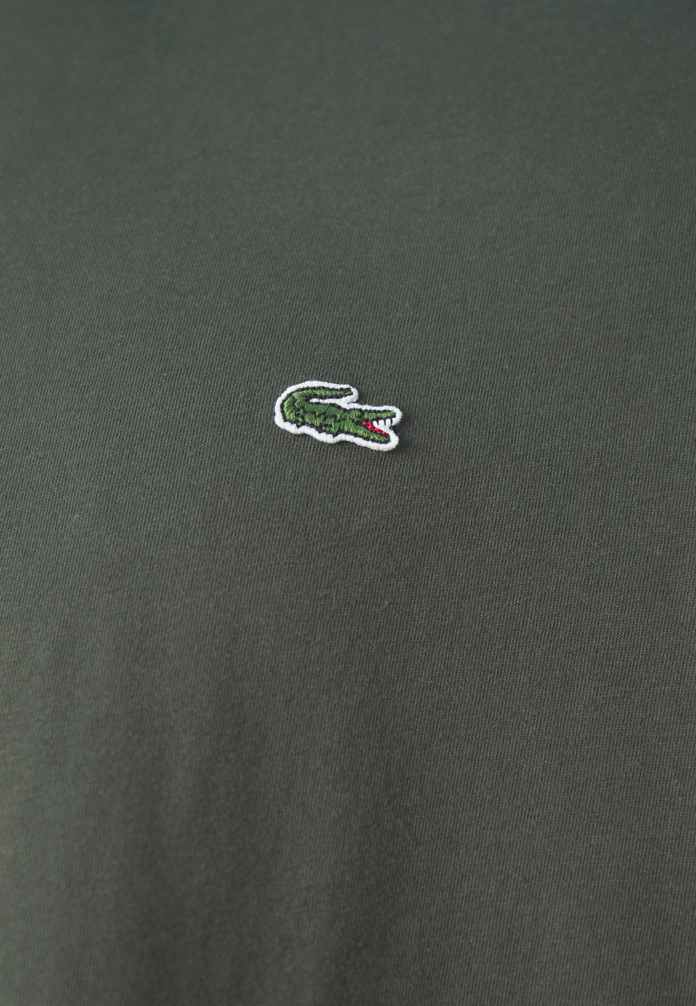 Lacoste Базовая футболка - Зелёный (LA222D01Z-M18)
